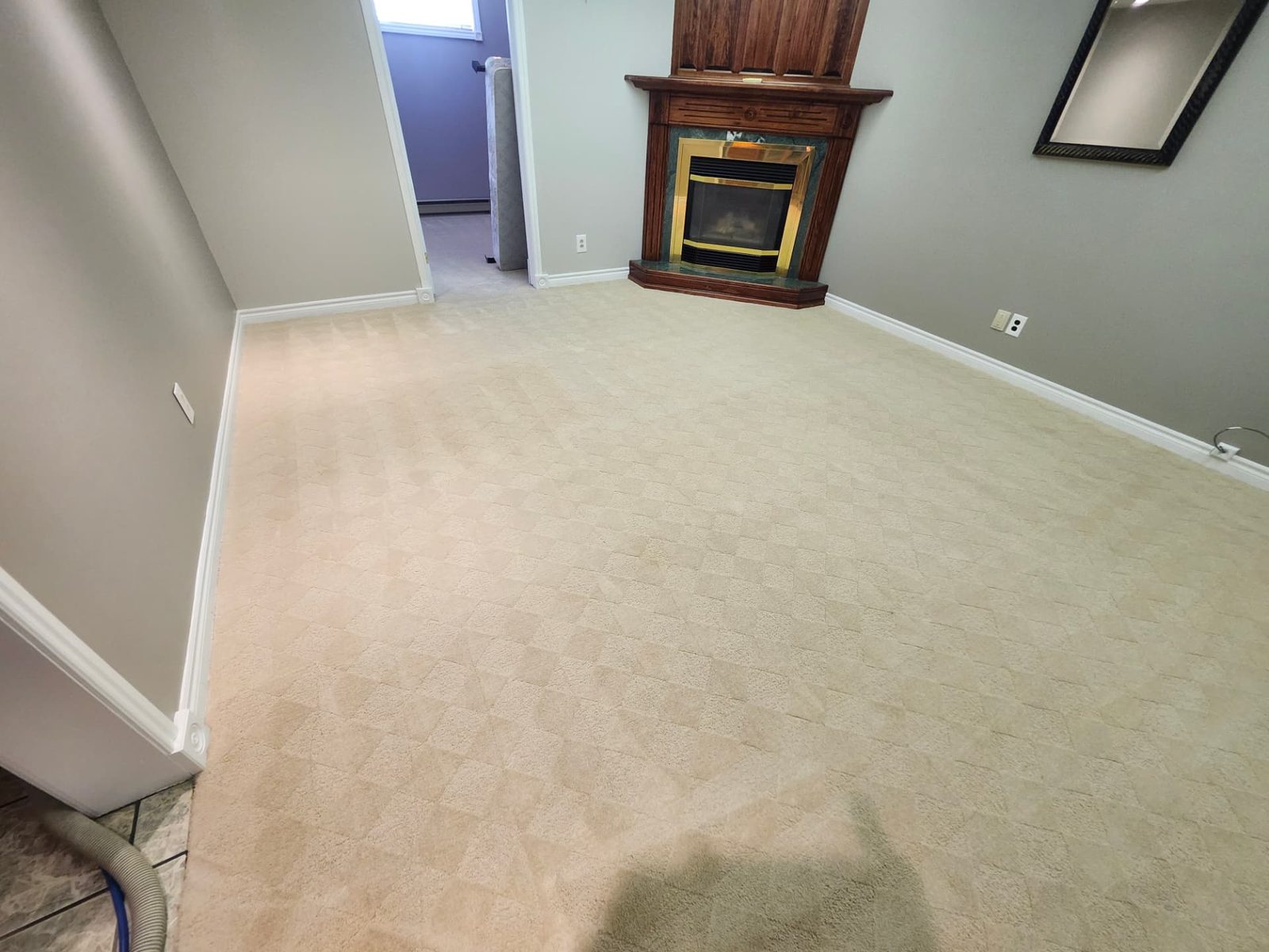 Deep Clean Carpets