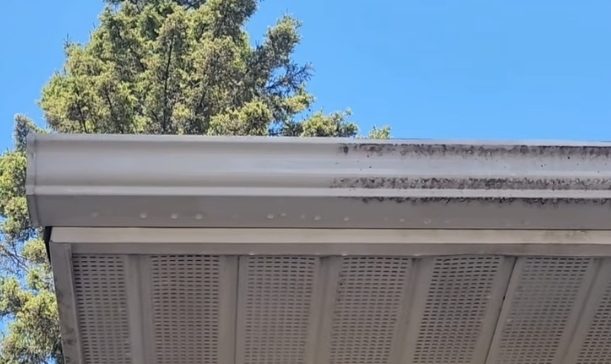 Gutter and Eaves Cleaning